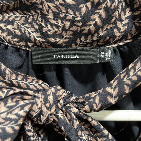 Aritzia Talula Babydoll Dress - Picture 3 of 3